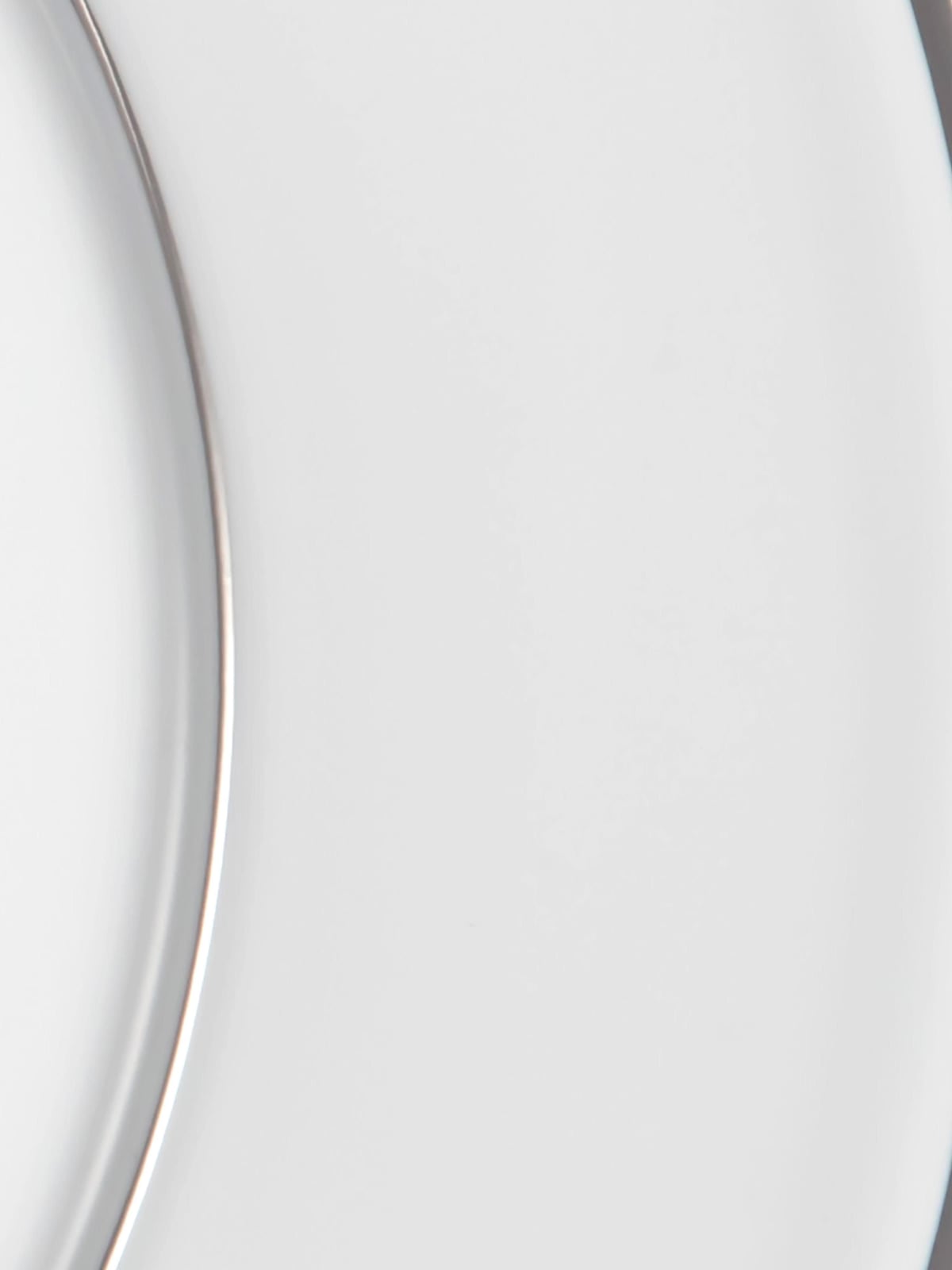 Beckwith Handmade Porcelain Dinner Plates with Platinum Rim, Set of 2
