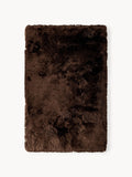 Everly Shiny Long-Pile Rug