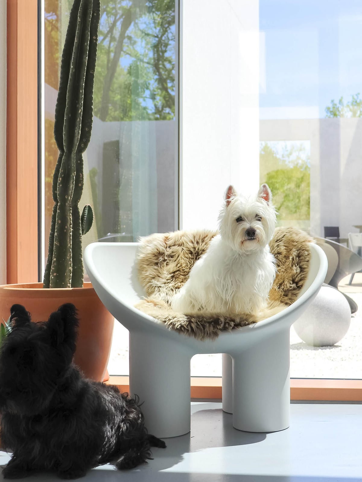 Fernwood Lounge Chair Roly