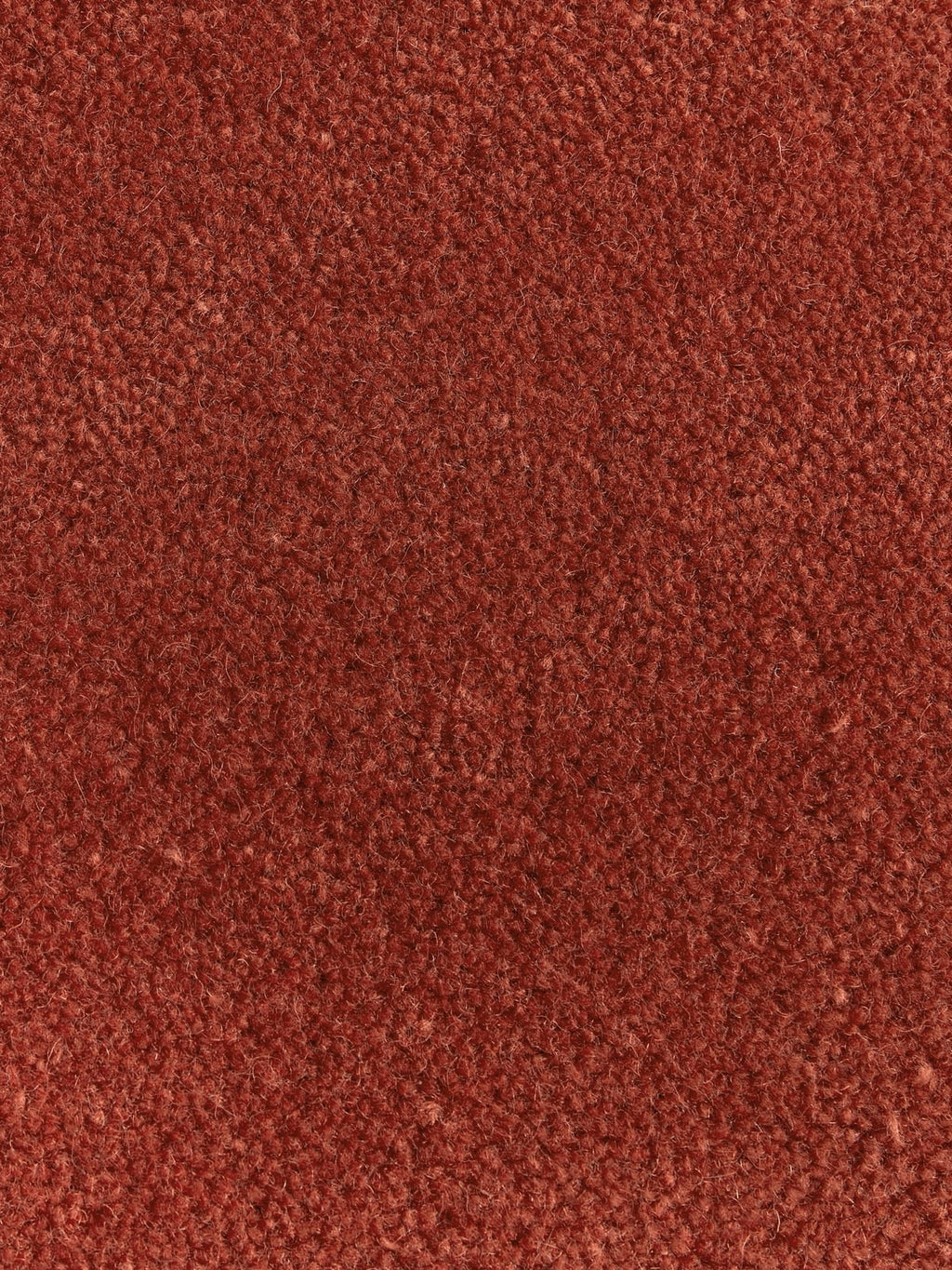 Kingsley Organic-Shaped Hand-Tufted Wool Rug