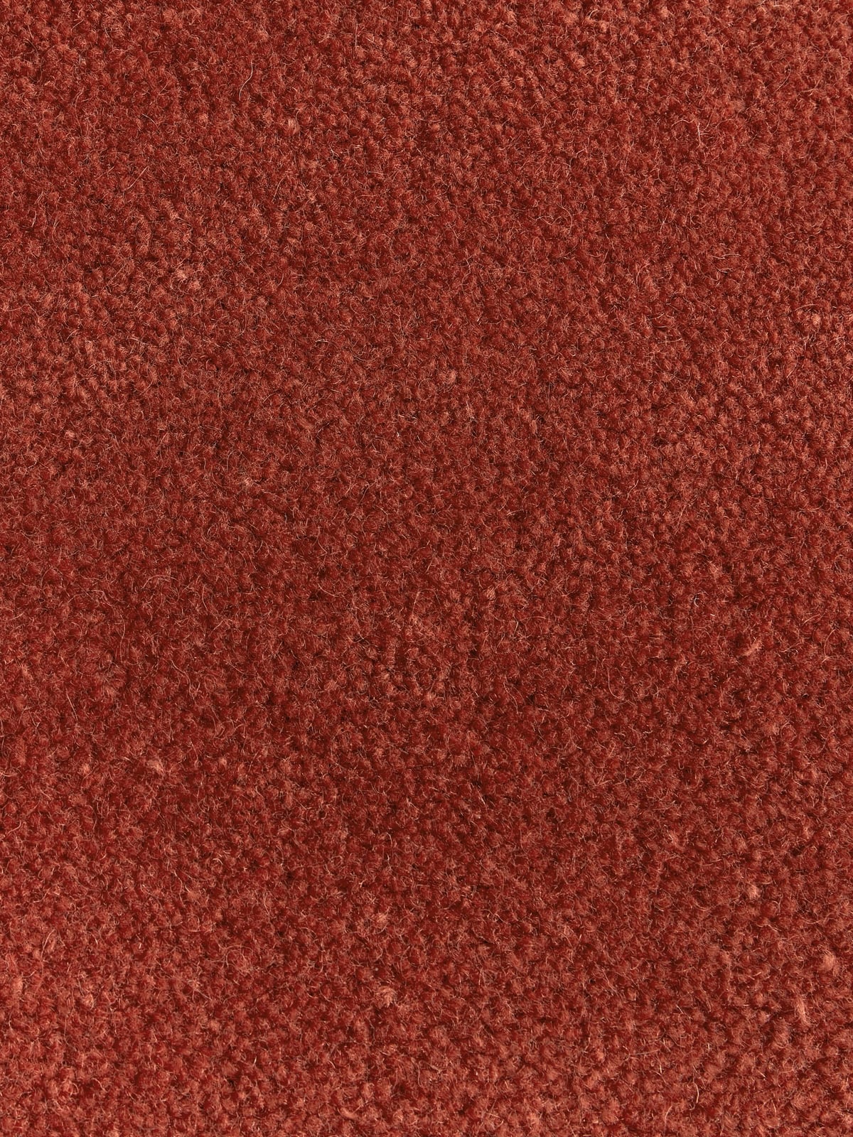 Kingsley Organic-Shaped Hand-Tufted Wool Rug