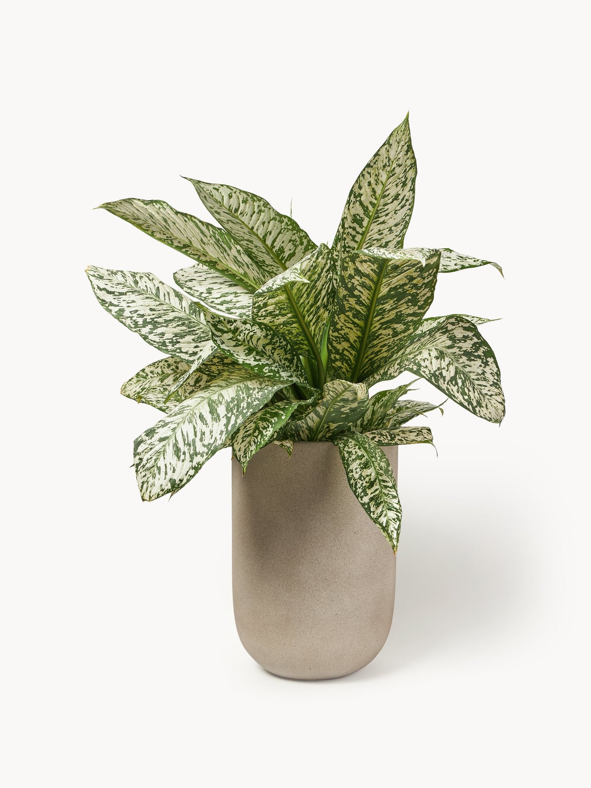 Lanercost Outdoor Concrete Planter, H 40 cm
