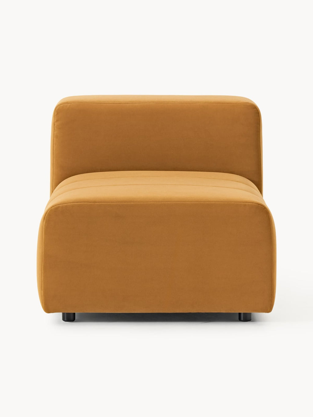 Pateley Velvet Middle Module
