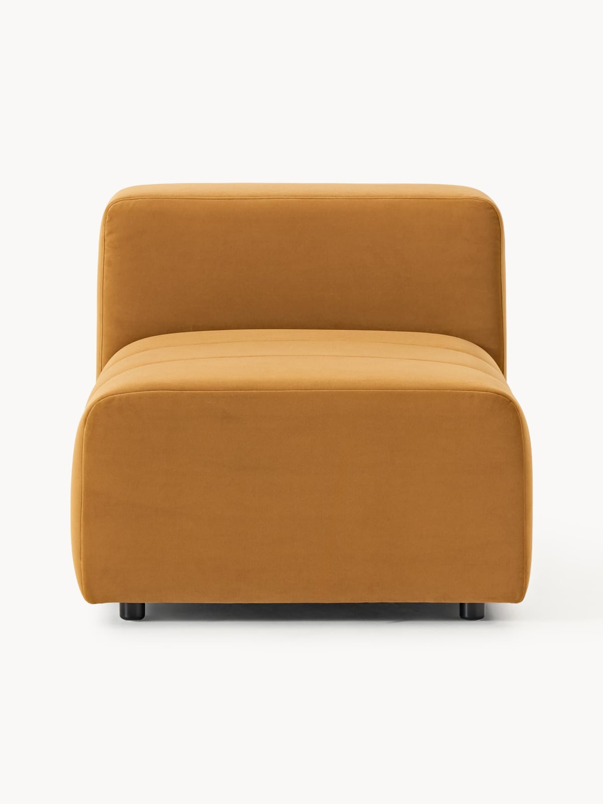 Pateley Velvet Middle Module