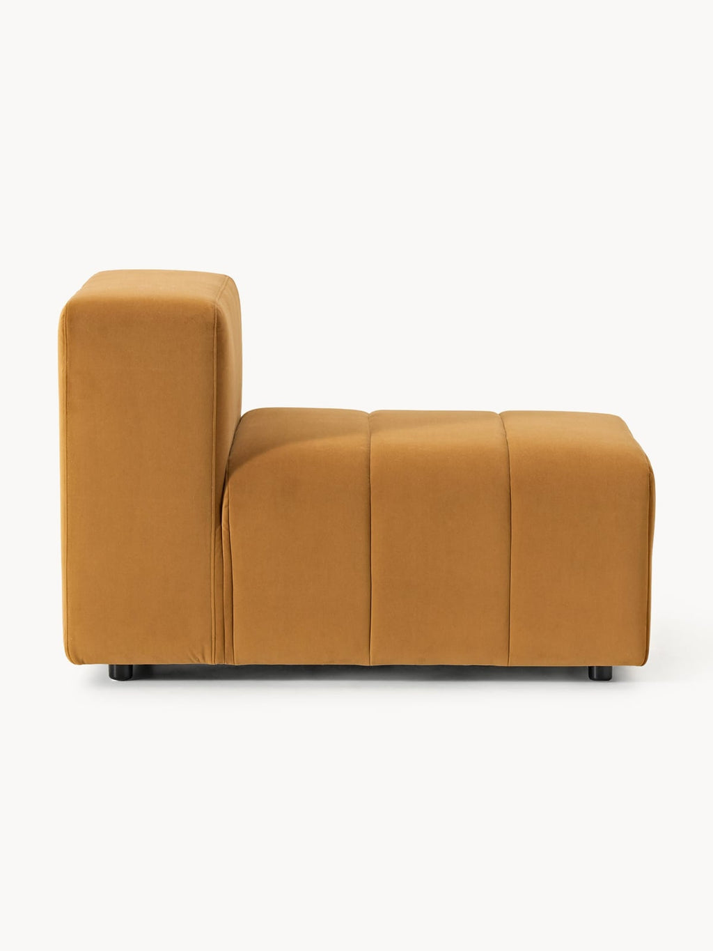 Pateley Velvet Middle Module