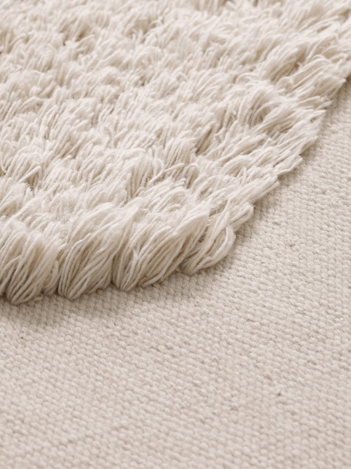 Renwick Hand-Tufted Indoor & Outdoor Rug